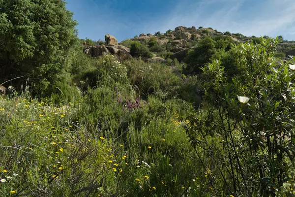 İspanya 'nın merkezindeki dağların bahar manzarası