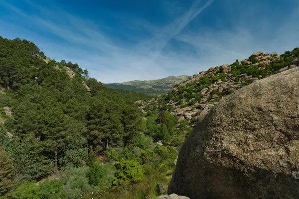 İspanya 'nın merkezindeki dağların bahar manzarası