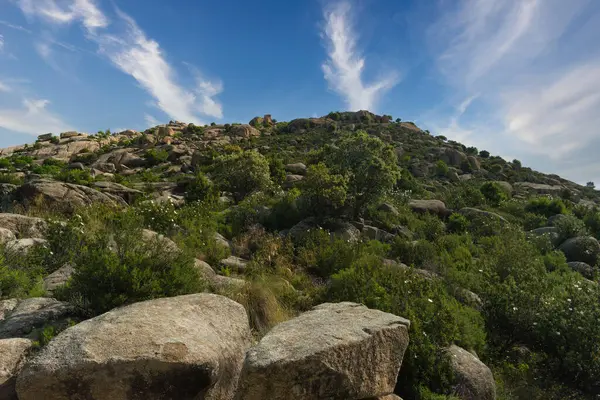 İspanya 'nın merkezindeki dağların bahar manzarası