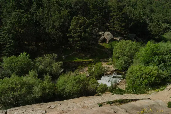 Güneşli bir günde bir dağ deresinin manzarası