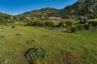 Madrid, İspanya yakınlarında güneşli bir günde bahar dağı manzarası