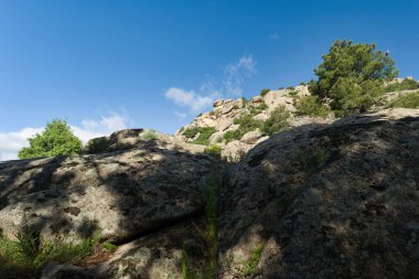 Madrid, İspanya yakınlarında güneşli bir günde bahar dağı manzarası