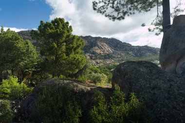 Madrid, İspanya yakınlarında güneşli bir günde bahar dağı manzarası