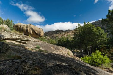 Madrid, İspanya yakınlarında güneşli bir günde bahar dağı manzarası