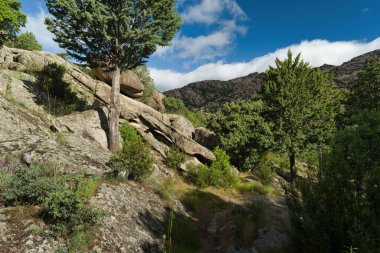 Madrid, İspanya yakınlarında güneşli bir günde bahar dağı manzarası