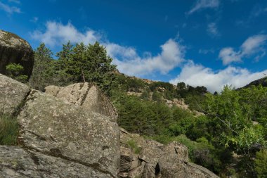 Madrid, İspanya yakınlarında güneşli bir günde bahar dağı manzarası