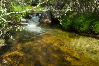 Bir bahar gününde bir dağ nehrinin manzarası