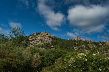 Madrid, İspanya yakınlarında güneşli bir günde bahar dağı manzarası