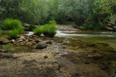 Bir bahar gününde bir dağ nehrinin manzarası