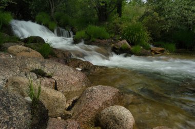 Bir bahar gününde bir dağ nehrinin manzarası