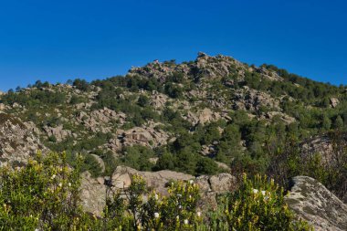 Madrid, İspanya yakınlarında güneşli bir günde bahar dağı manzarası