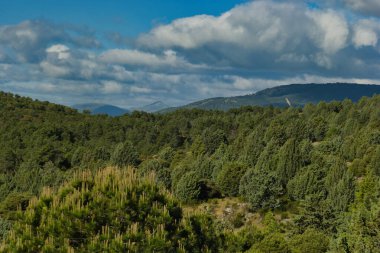 Madrid, İspanya yakınlarında güneşli bir günde bahar dağı manzarası