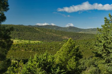 Madrid, İspanya yakınlarında güneşli bir günde bahar dağı manzarası