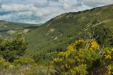 Bahar dağı manzarası güneşli bir günde Madrid yakınlarındaki Sierra de Guadarrama dağlarında.