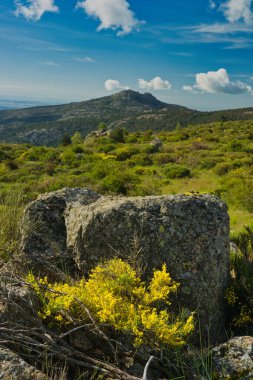 Bahar dağı manzarası güneşli bir günde Madrid yakınlarındaki Sierra de Guadarrama dağlarında.