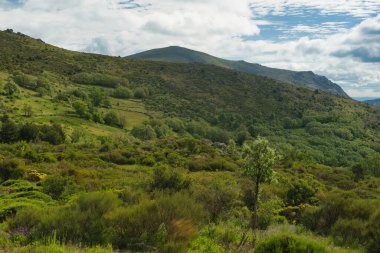 Bahar dağı manzarası güneşli bir günde Madrid yakınlarındaki Sierra de Guadarrama dağlarında.