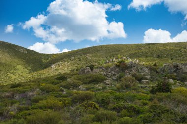 Bahar dağı manzarası güneşli bir günde Madrid yakınlarındaki Sierra de Guadarrama dağlarında.