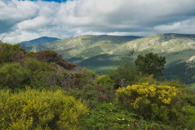 Bahar dağı manzarası güneşli bir günde Madrid yakınlarındaki Sierra de Guadarrama dağlarında.