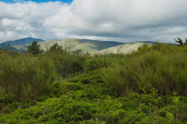 Bahar dağı manzarası güneşli bir günde Madrid yakınlarındaki Sierra de Guadarrama dağlarında.