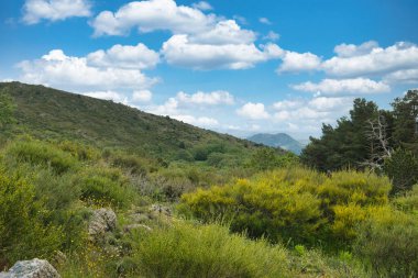 Bahar dağı manzarası güneşli bir günde Madrid yakınlarındaki Sierra de Guadarrama dağlarında.