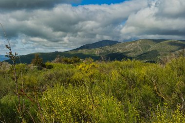 Bahar dağı manzarası güneşli bir günde Madrid yakınlarındaki Sierra de Guadarrama dağlarında.