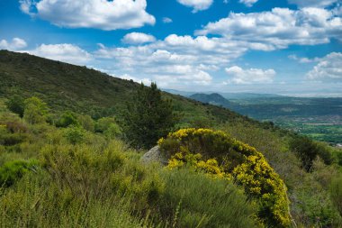 Bahar dağı manzarası güneşli bir günde Madrid yakınlarındaki Sierra de Guadarrama dağlarında.