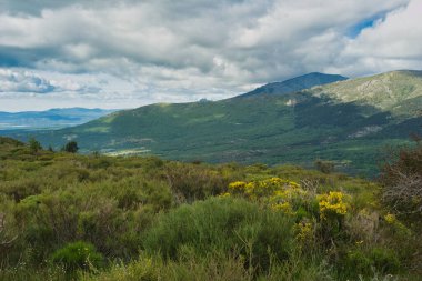 Bahar dağı manzarası güneşli bir günde Madrid yakınlarındaki Sierra de Guadarrama dağlarında.