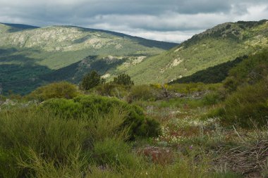 Bahar dağı manzarası güneşli bir günde Madrid yakınlarındaki Sierra de Guadarrama dağlarında.