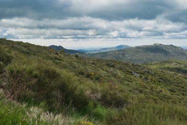 Bahar dağı manzarası güneşli bir günde Madrid yakınlarındaki Sierra de Guadarrama dağlarında.