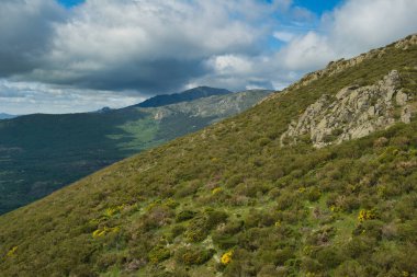Bahar dağı manzarası güneşli bir günde Madrid yakınlarındaki Sierra de Guadarrama dağlarında.
