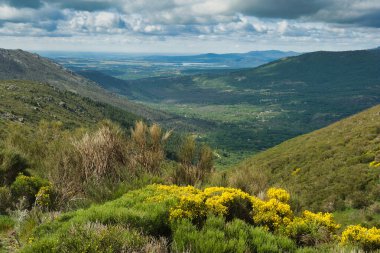 Bahar dağı manzarası güneşli bir günde Madrid yakınlarındaki Sierra de Guadarrama dağlarında.
