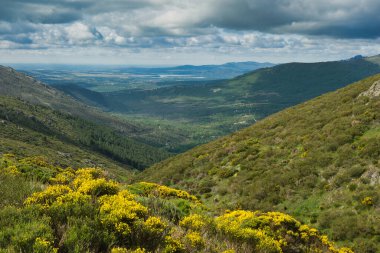 Bahar dağı manzarası güneşli bir günde Madrid yakınlarındaki Sierra de Guadarrama dağlarında.
