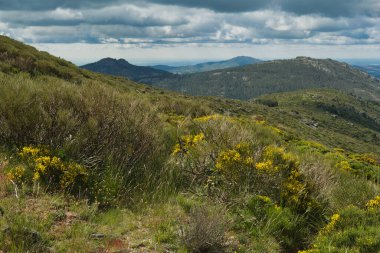 Bahar dağı manzarası güneşli bir günde Madrid yakınlarındaki Sierra de Guadarrama dağlarında.