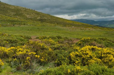 Bahar dağı manzarası güneşli bir günde Madrid yakınlarındaki Sierra de Guadarrama dağlarında.