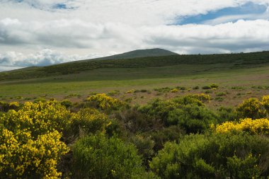Bahar dağı manzarası güneşli bir günde Madrid yakınlarındaki Sierra de Guadarrama dağlarında.