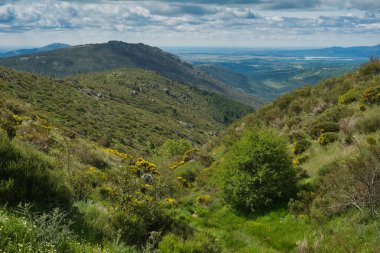 Bahar dağı manzarası güneşli bir günde Madrid yakınlarındaki Sierra de Guadarrama dağlarında.