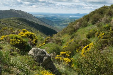 Bahar dağı manzarası güneşli bir günde Madrid yakınlarındaki Sierra de Guadarrama dağlarında.