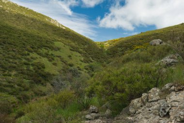 Bahar dağı manzarası güneşli bir günde Madrid yakınlarındaki Sierra de Guadarrama dağlarında.