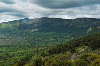 Bahar dağı manzarası güneşli bir günde Madrid yakınlarındaki Sierra de Guadarrama dağlarında.