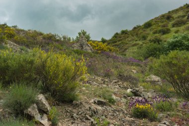 Bahar dağı manzarası güneşli bir günde Madrid yakınlarındaki Sierra de Guadarrama dağlarında.