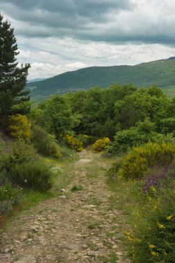 Bahar dağı manzarası güneşli bir günde Madrid yakınlarındaki Sierra de Guadarrama dağlarında.