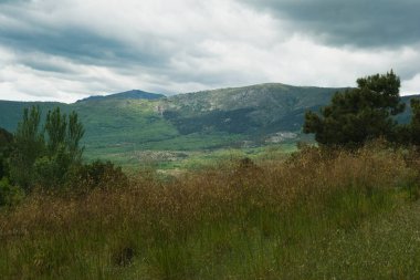 Bahar dağı manzarası güneşli bir günde Madrid yakınlarındaki Sierra de Guadarrama dağlarında.