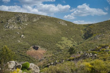 Bahar dağı manzarası güneşli bir günde Madrid yakınlarındaki Sierra de Guadarrama dağlarında.