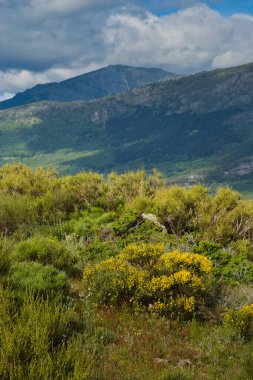 Bahar dağı manzarası güneşli bir günde Madrid yakınlarındaki Sierra de Guadarrama dağlarında.