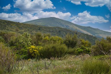 Bahar dağı manzarası güneşli bir günde Madrid yakınlarındaki Sierra de Guadarrama dağlarında.