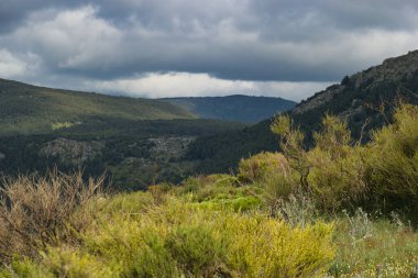 Bahar dağı manzarası güneşli bir günde Madrid yakınlarındaki Sierra de Guadarrama dağlarında.