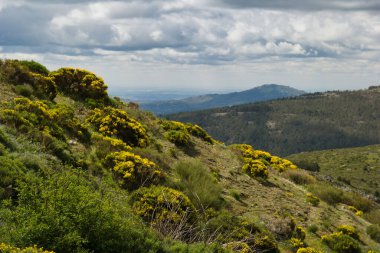 Bahar dağı manzarası güneşli bir günde Madrid yakınlarındaki Sierra de Guadarrama dağlarında.
