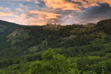 Bahar dağı manzarası güneşli bir günde Madrid yakınlarındaki Sierra de Guadarrama dağlarında.
