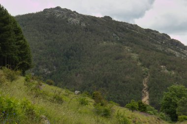 Bahar dağı manzarası güneşli bir günde Madrid yakınlarındaki Sierra de Guadarrama dağlarında.