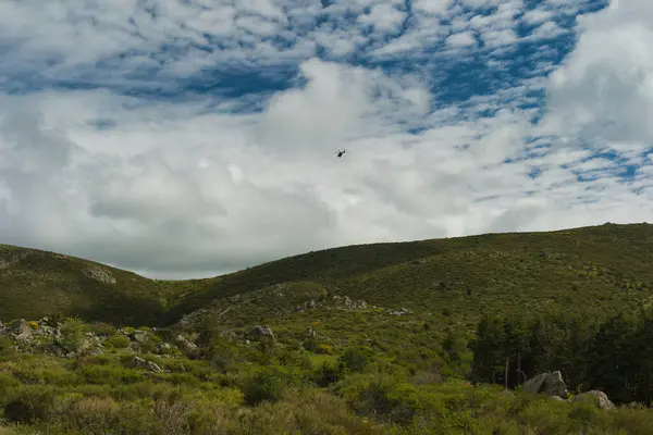 Bahar dağı manzarası güneşli bir günde Madrid yakınlarındaki Sierra de Guadarrama dağlarında.